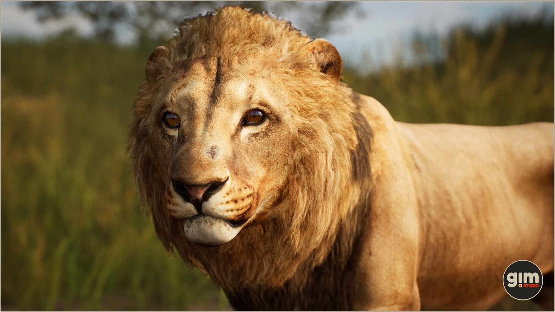 https://gim.studio/wp-content/gallery/lion/Lion-Games_in_Motion_Realistic_Animated_3D_Model-8.jpg