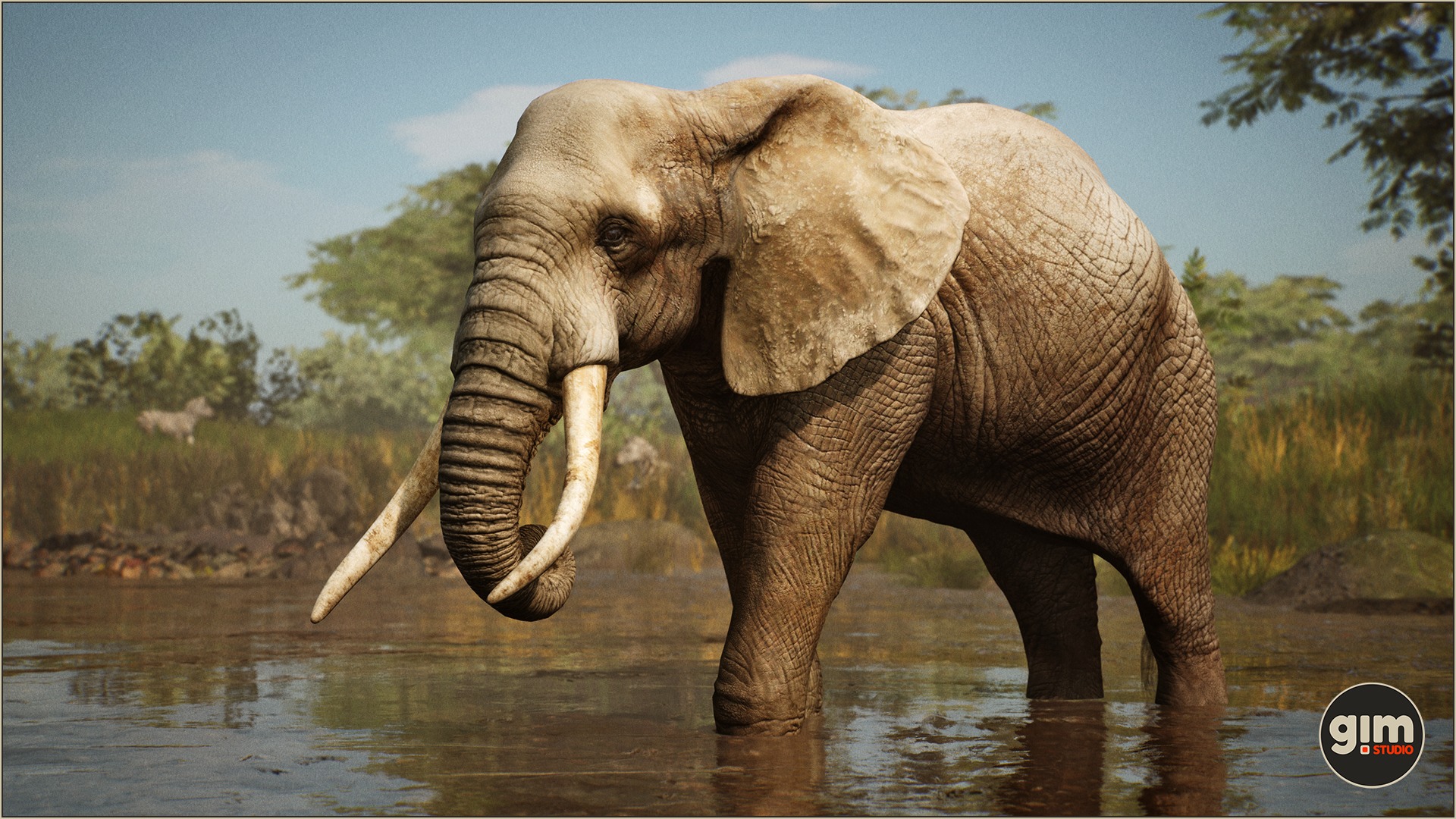 African Elephant in water.