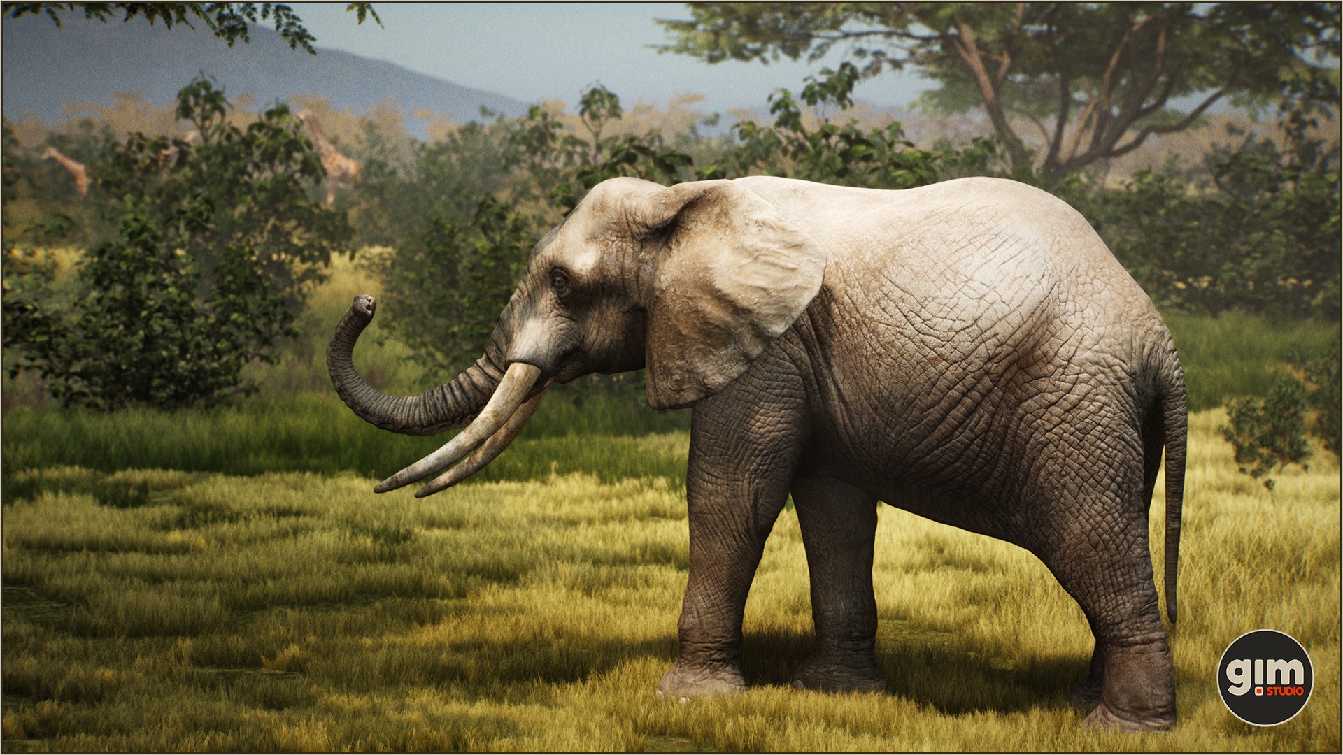 African Elephant on grass.