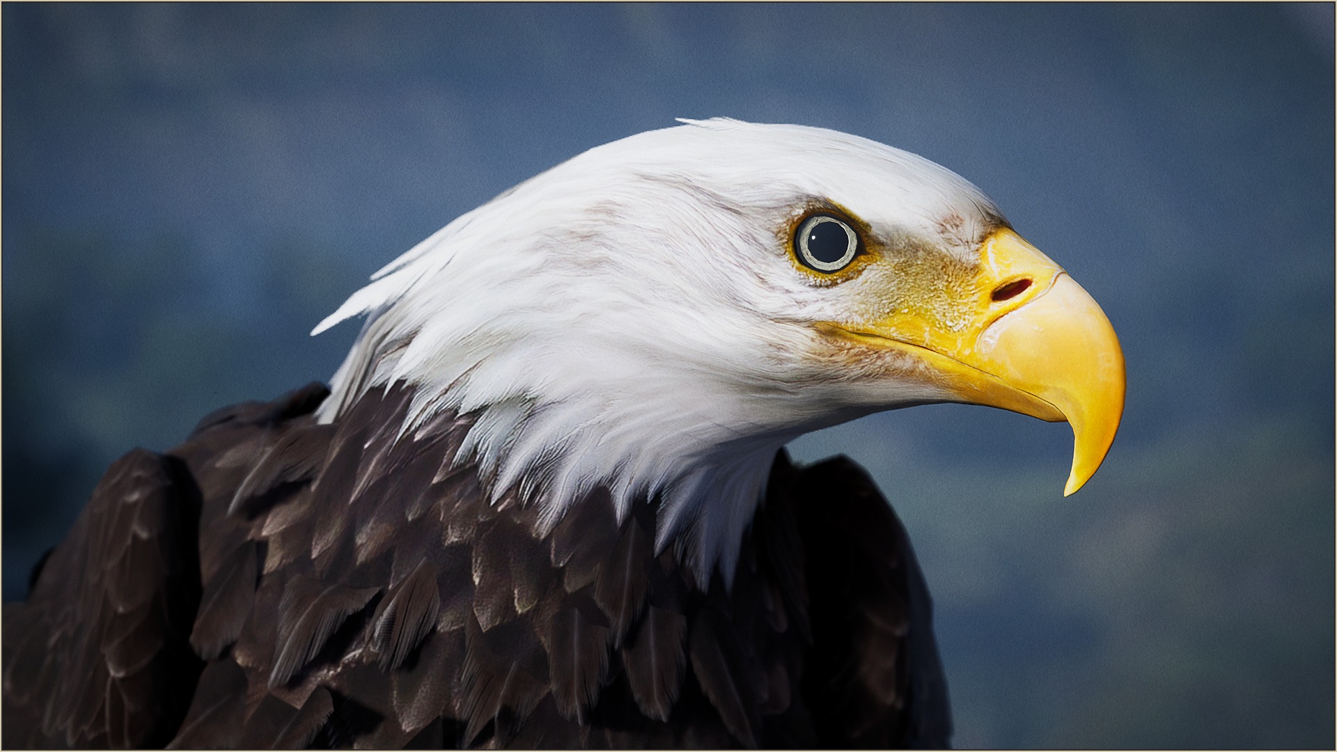 Golden Eagle profile picture