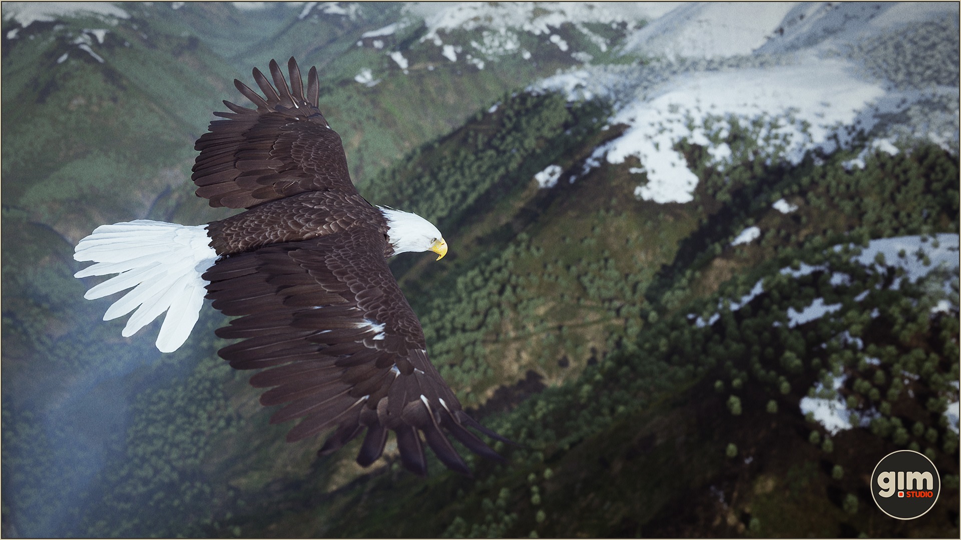 Majestic Bald Eagle flying high above the mountains