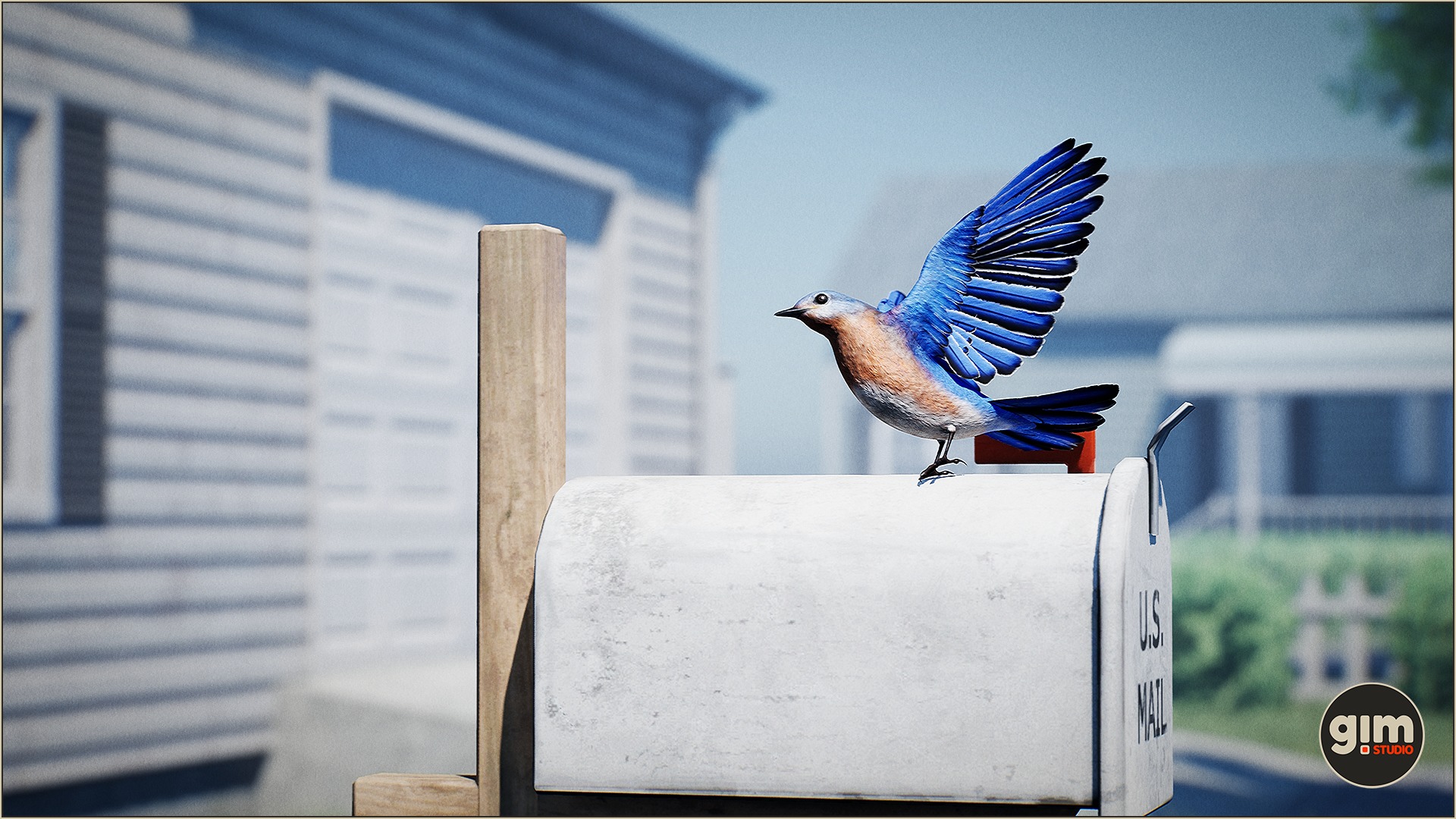 Bluebird taking off of a mail box