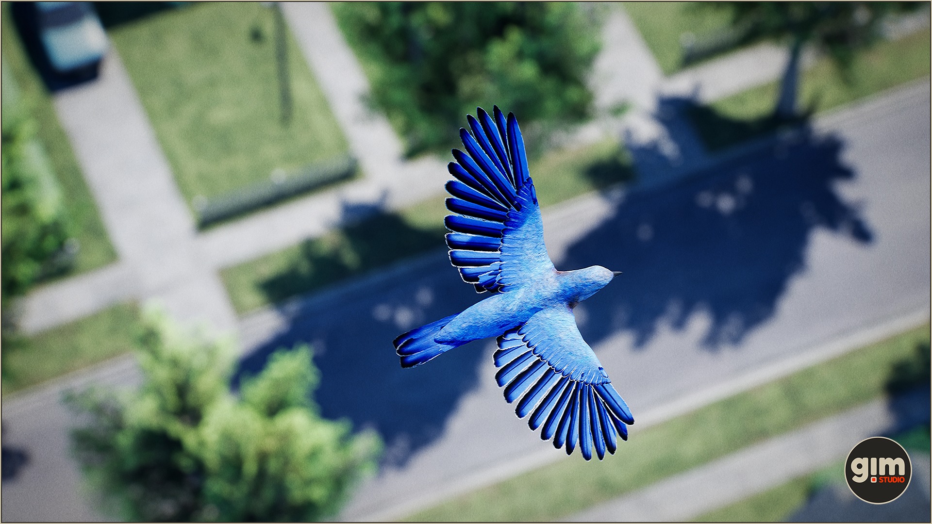 Bluebird flying high above the town