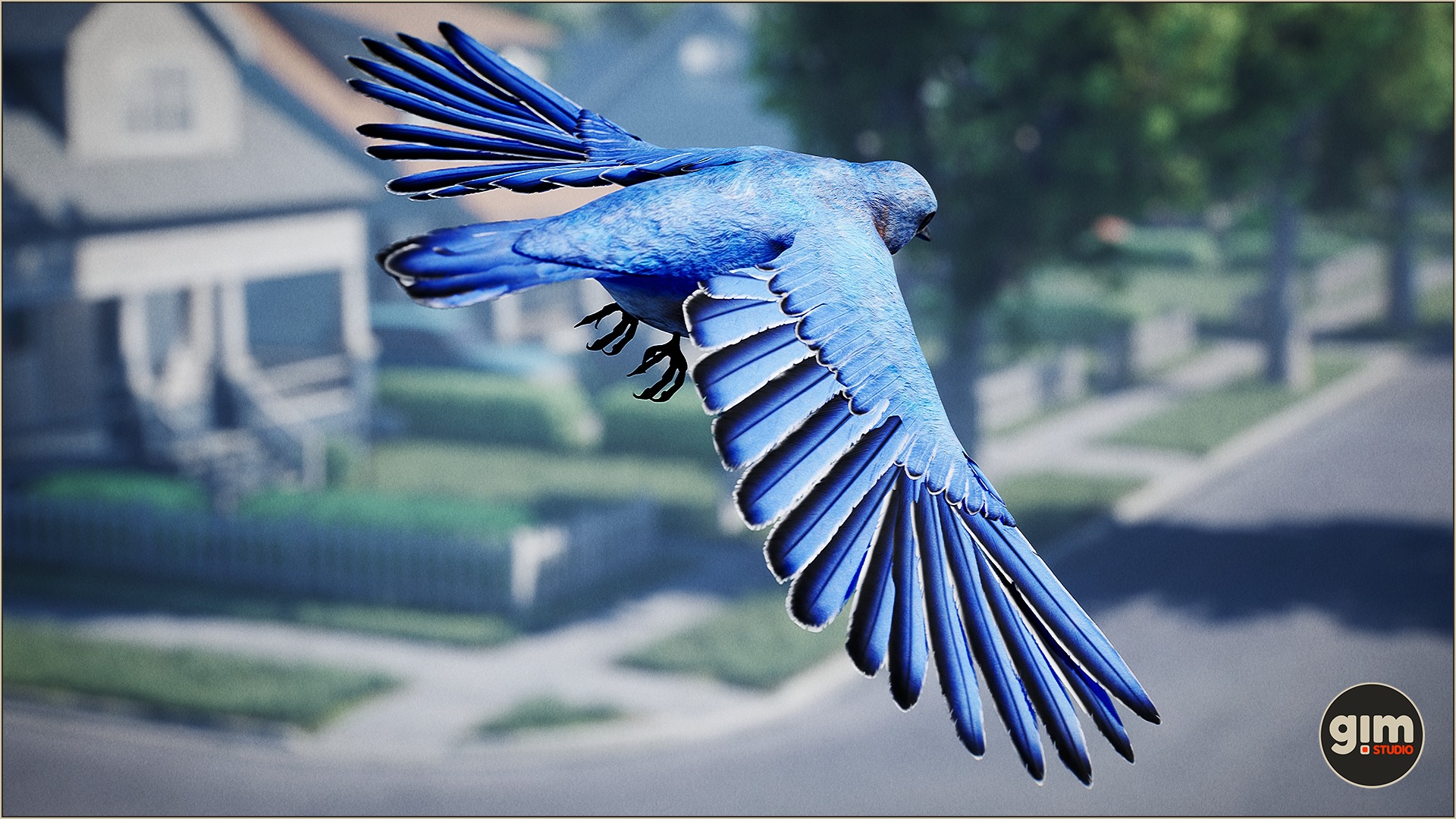 Bluebird in a flyby