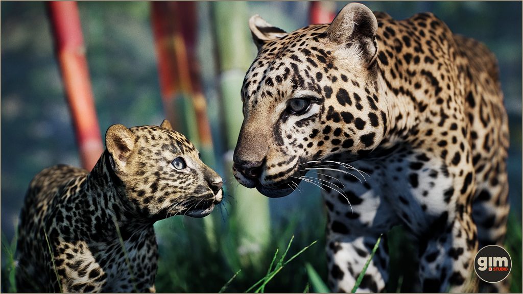 Father Leopard looking at his son, who is trying to figure out his homework