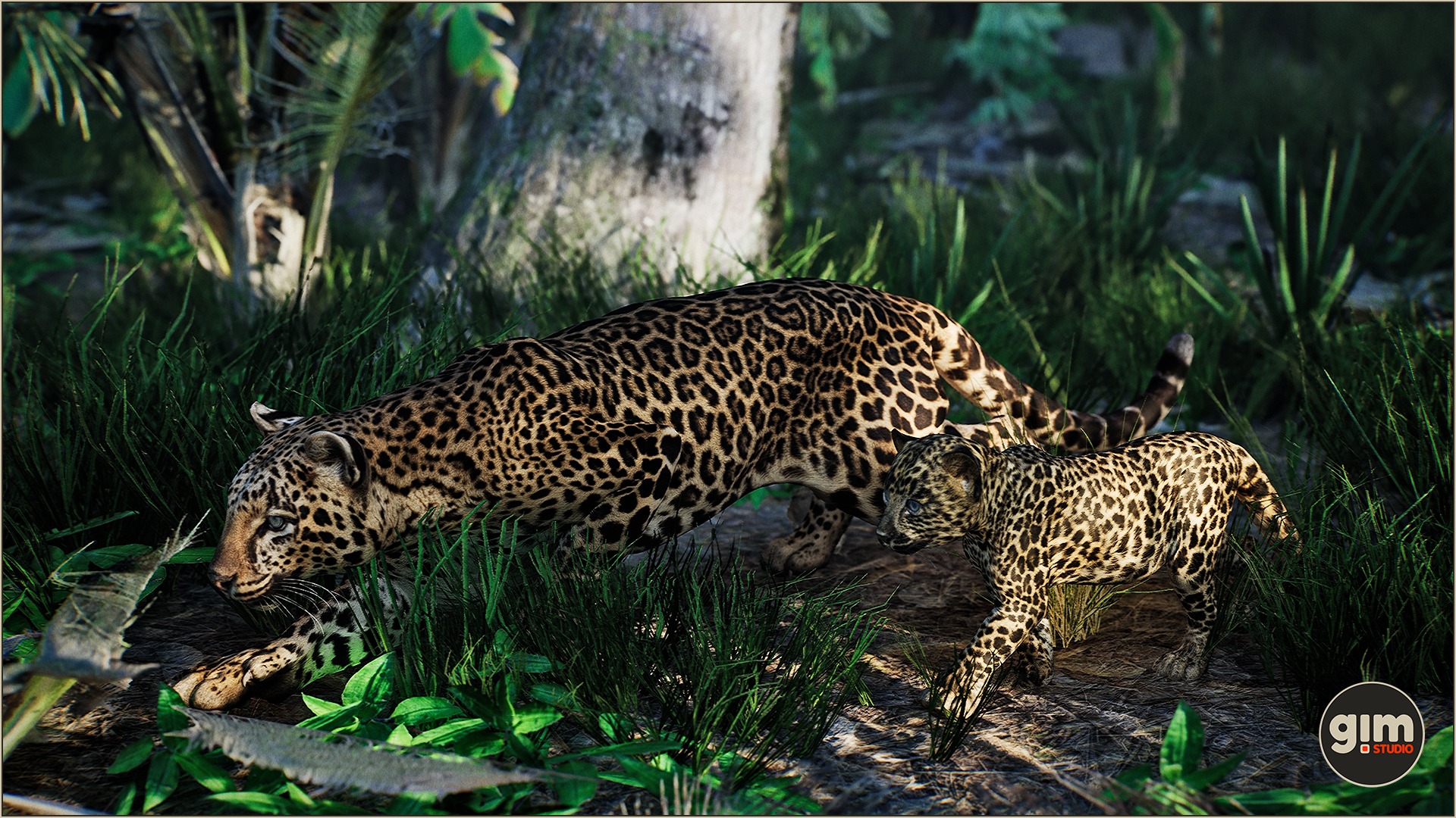Leopard father teaching his young son how to hunt