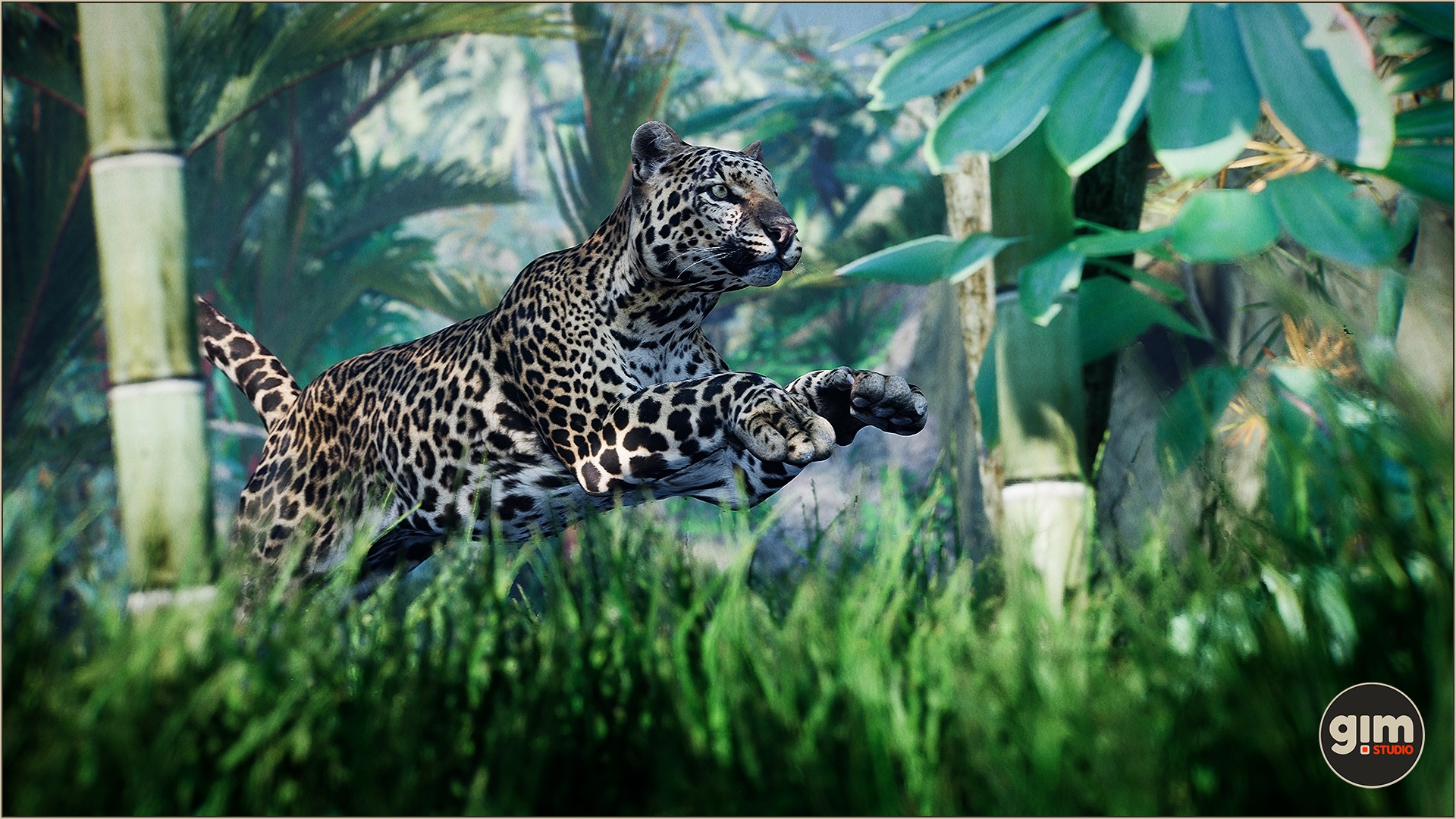 Male Leopard jumping effortlessly
