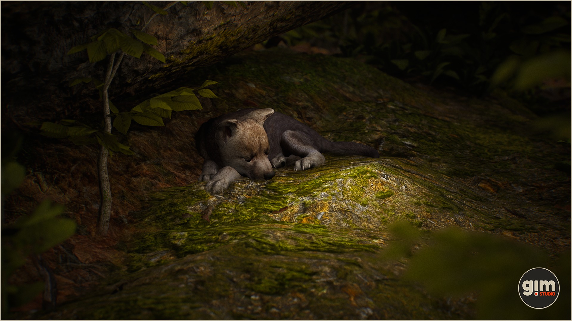 Young Wolf sleeping after a demanding day