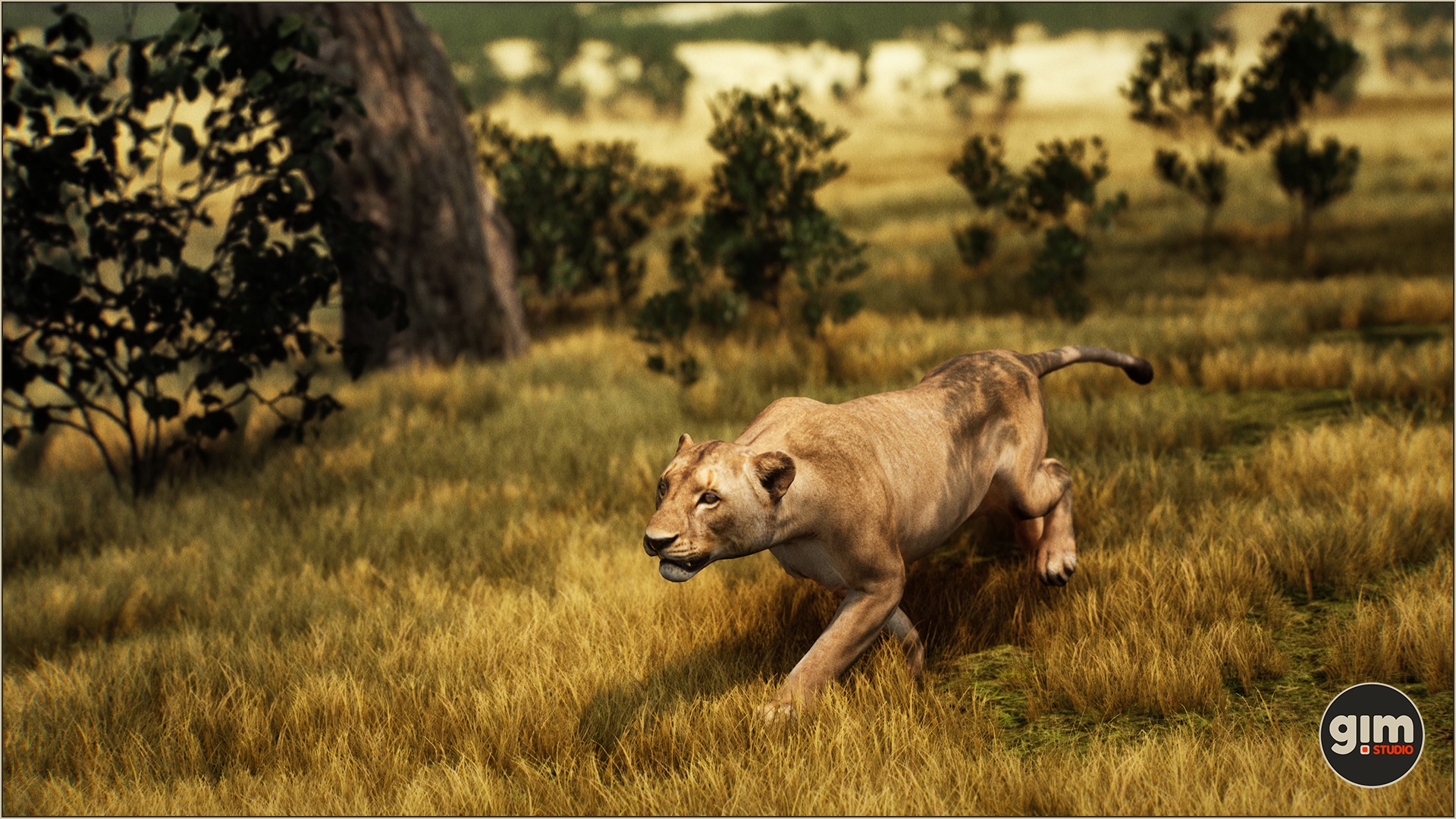 Female lion running through savanna.