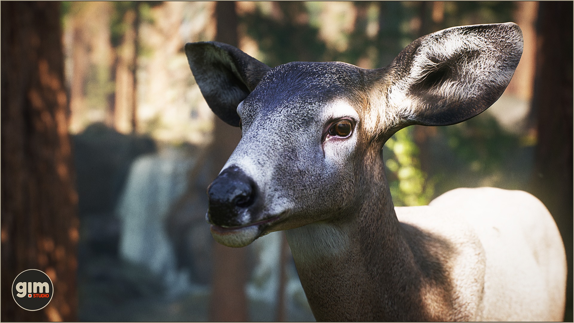 Female Mule Deer profile picture