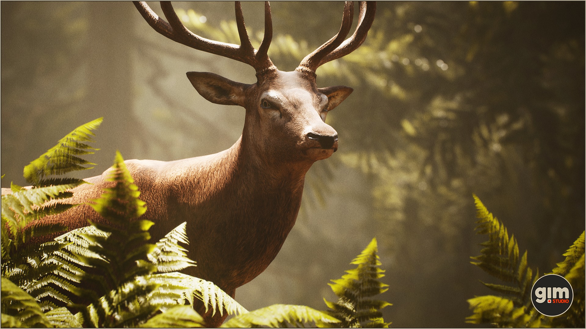 Profile picture of male Red Deer