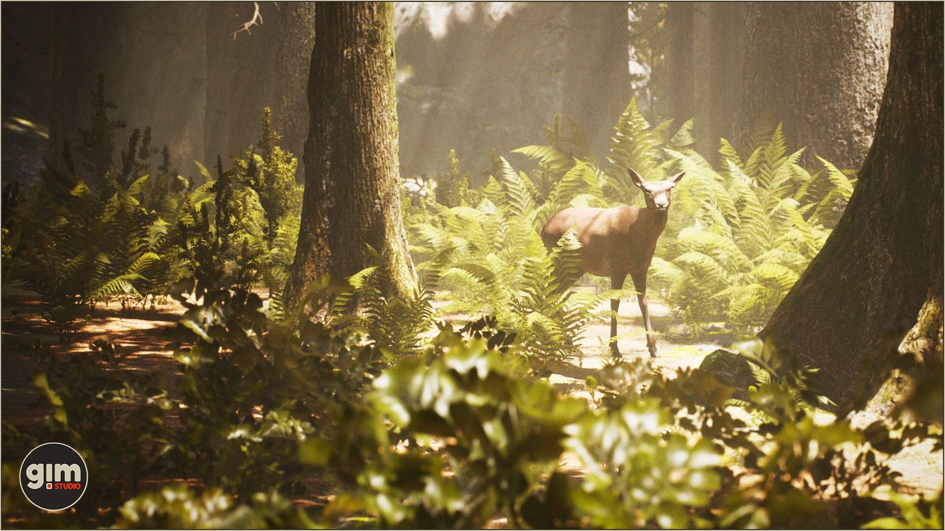 Female Red Deer standing between trees