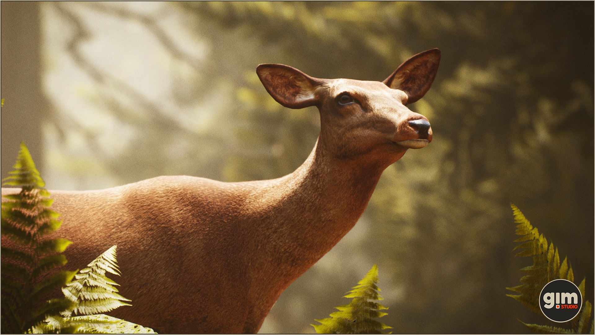 Female Red Deer profile picture