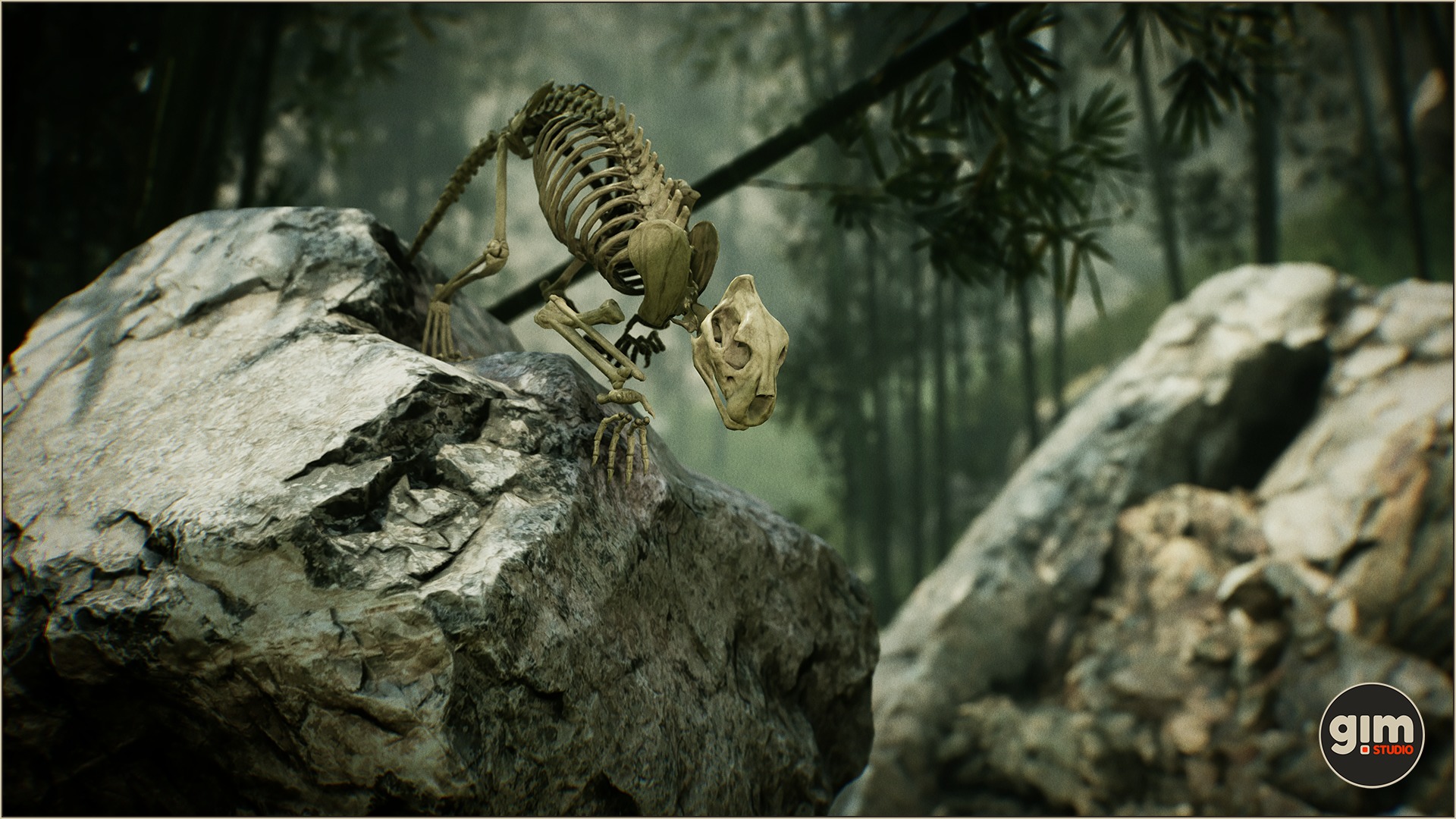 Bones of young tiger jumping down from a rock, this looks really strange