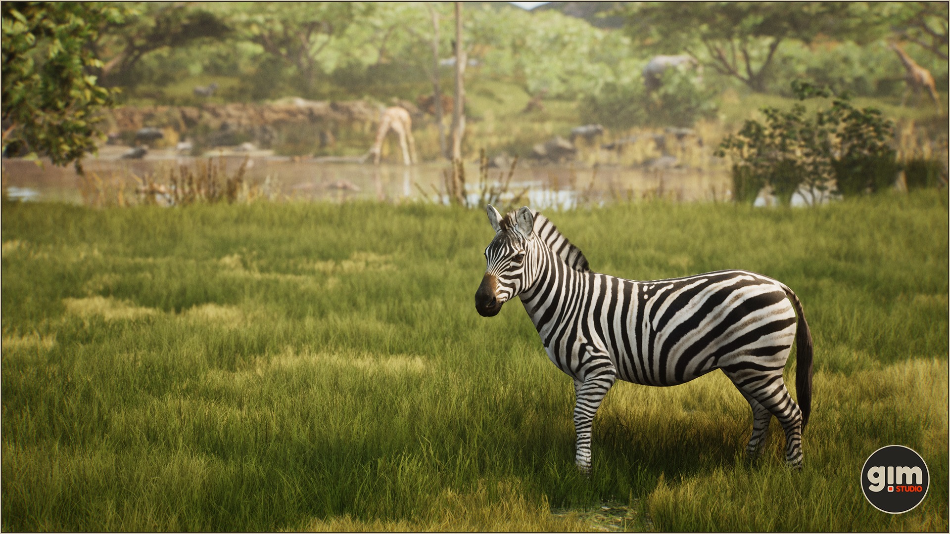 Zebra in beautiful African environment.