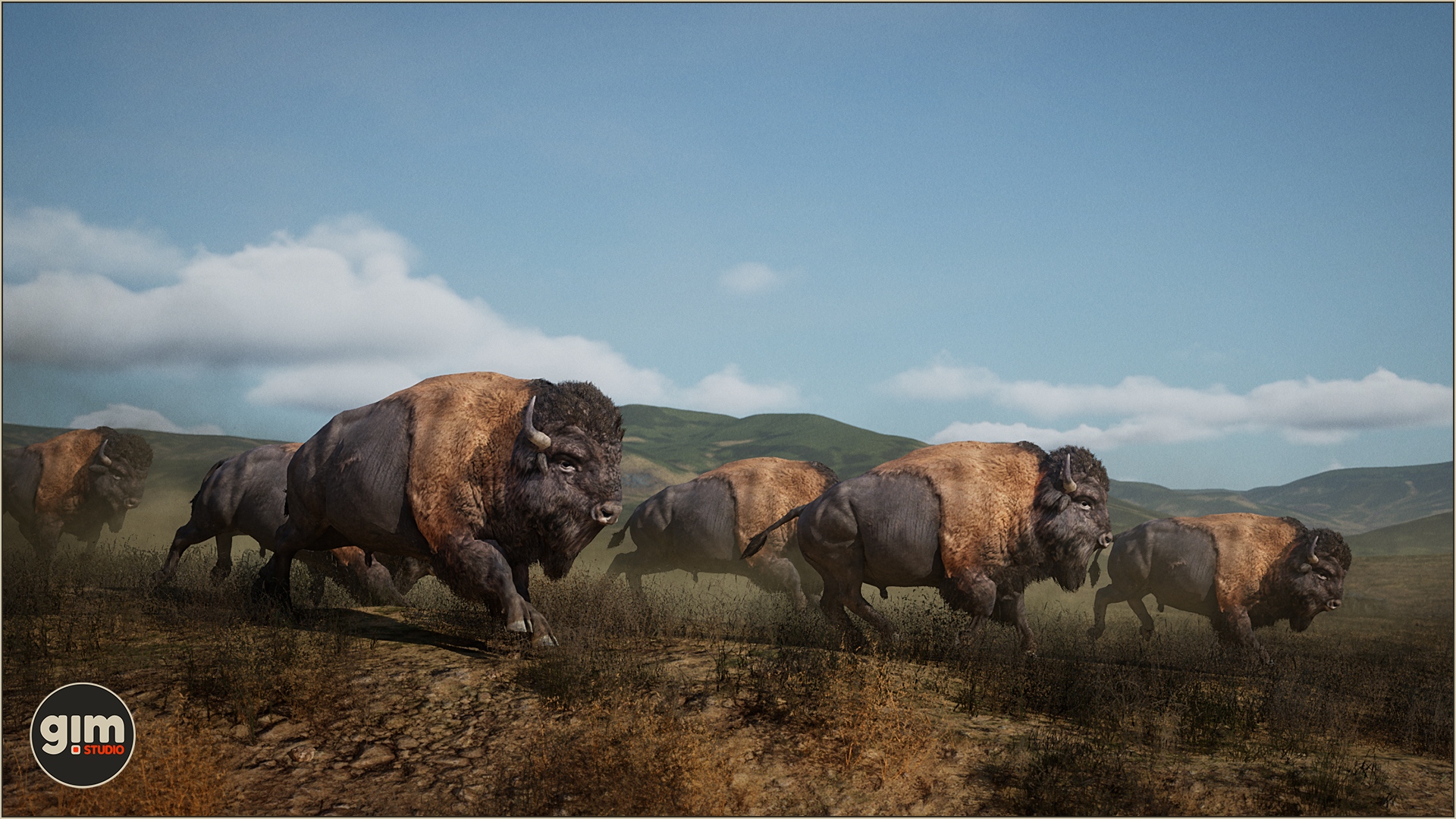 Herd of Bisons running on the plains