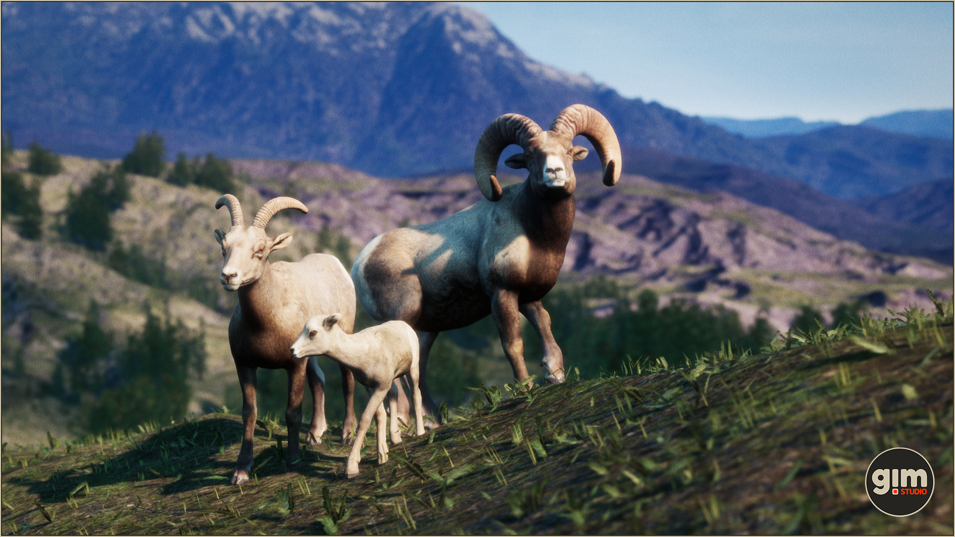 Family photo of Bighorn Sheep