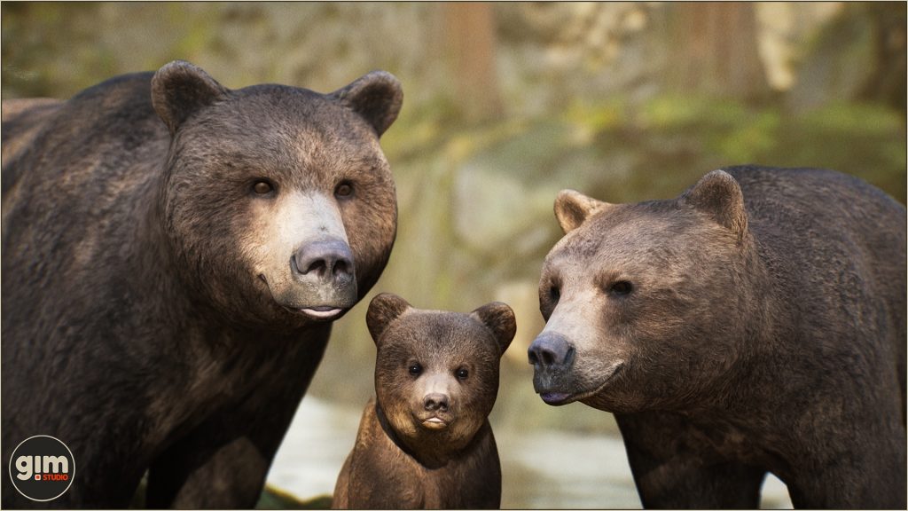 Family photo of Brown Bear