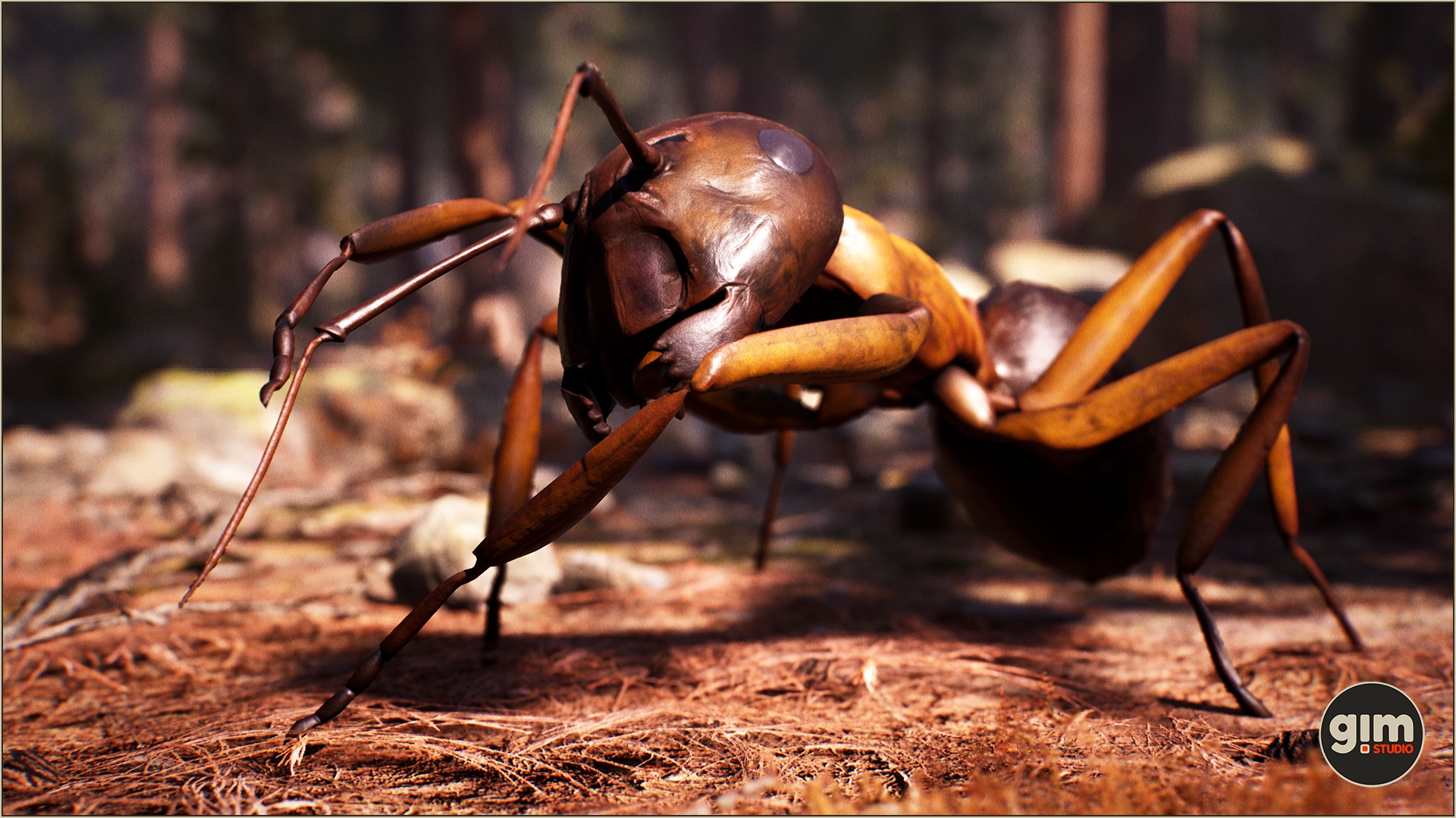 Macro shot of Carpenter Ant