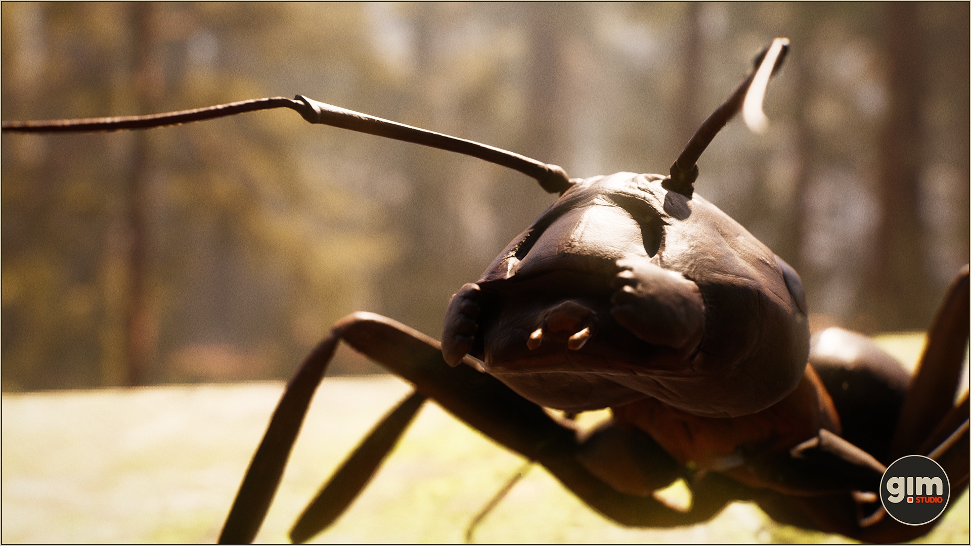 Carpenter Ant profile picture