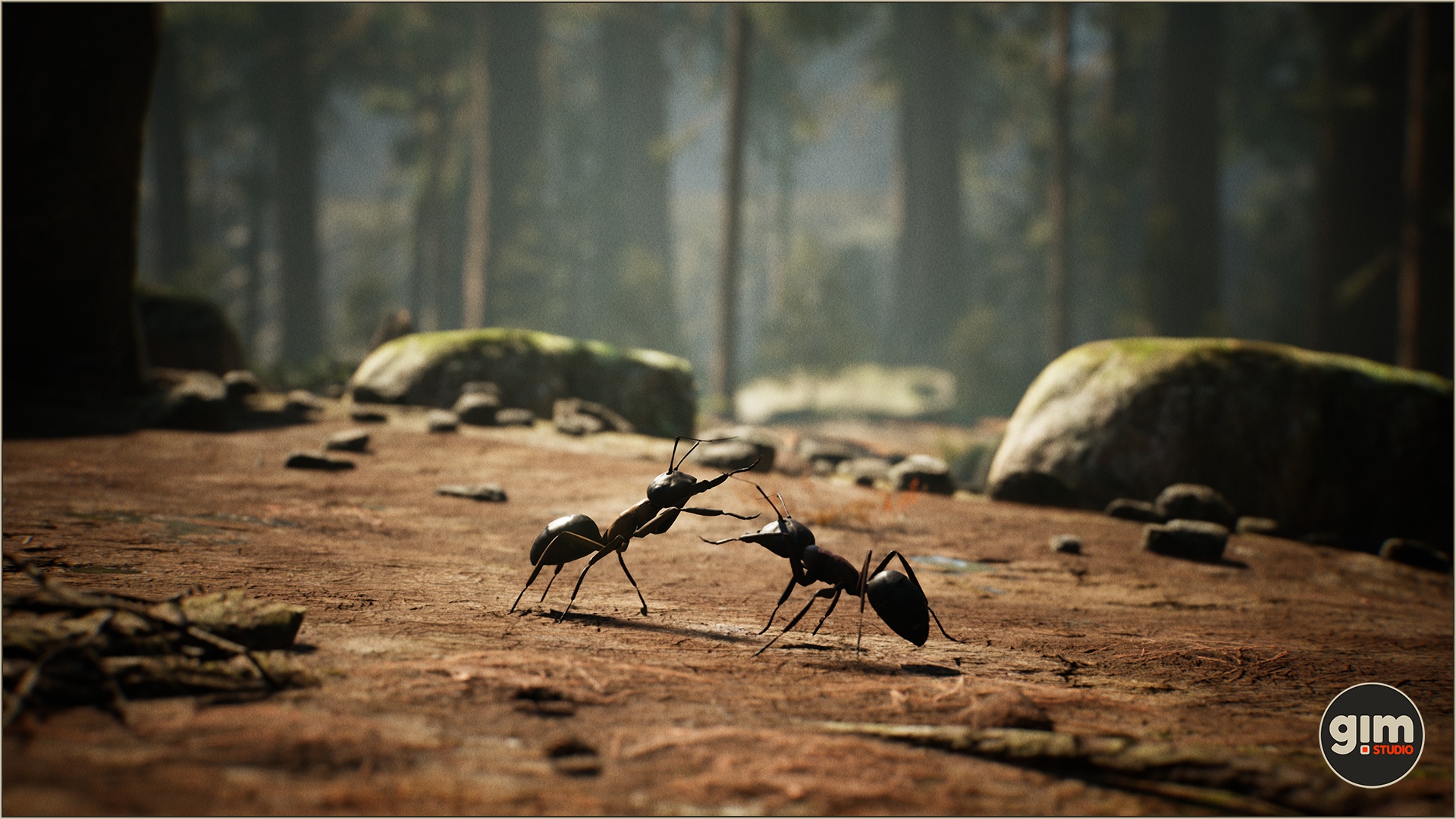 Two ants fighting