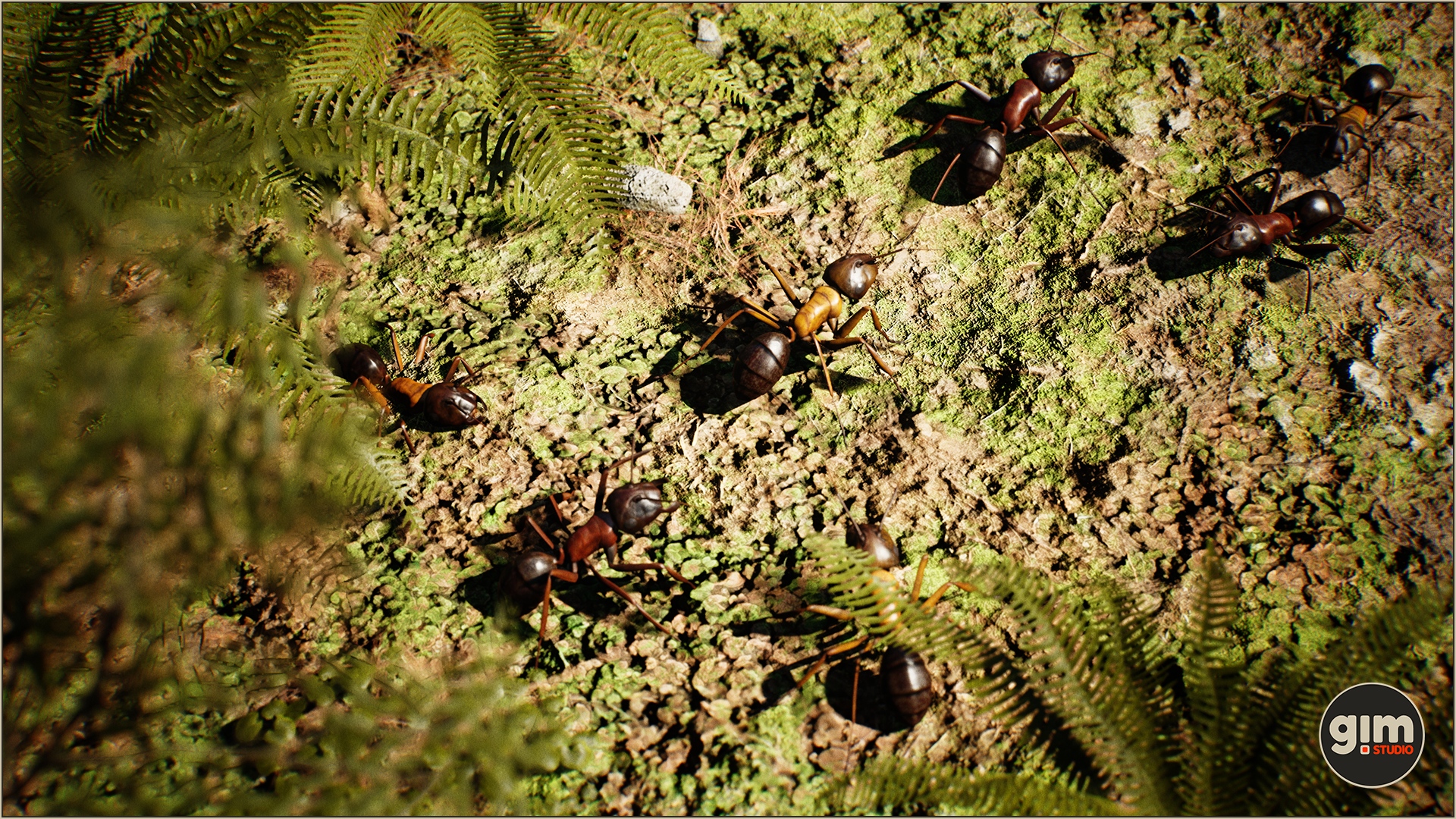 Bunch of ants runing home