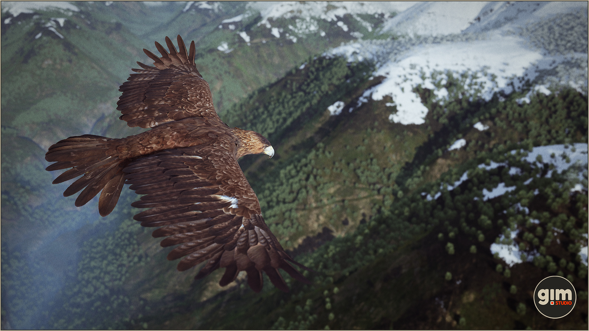 Majestic Golden Eagle high above the mountains
