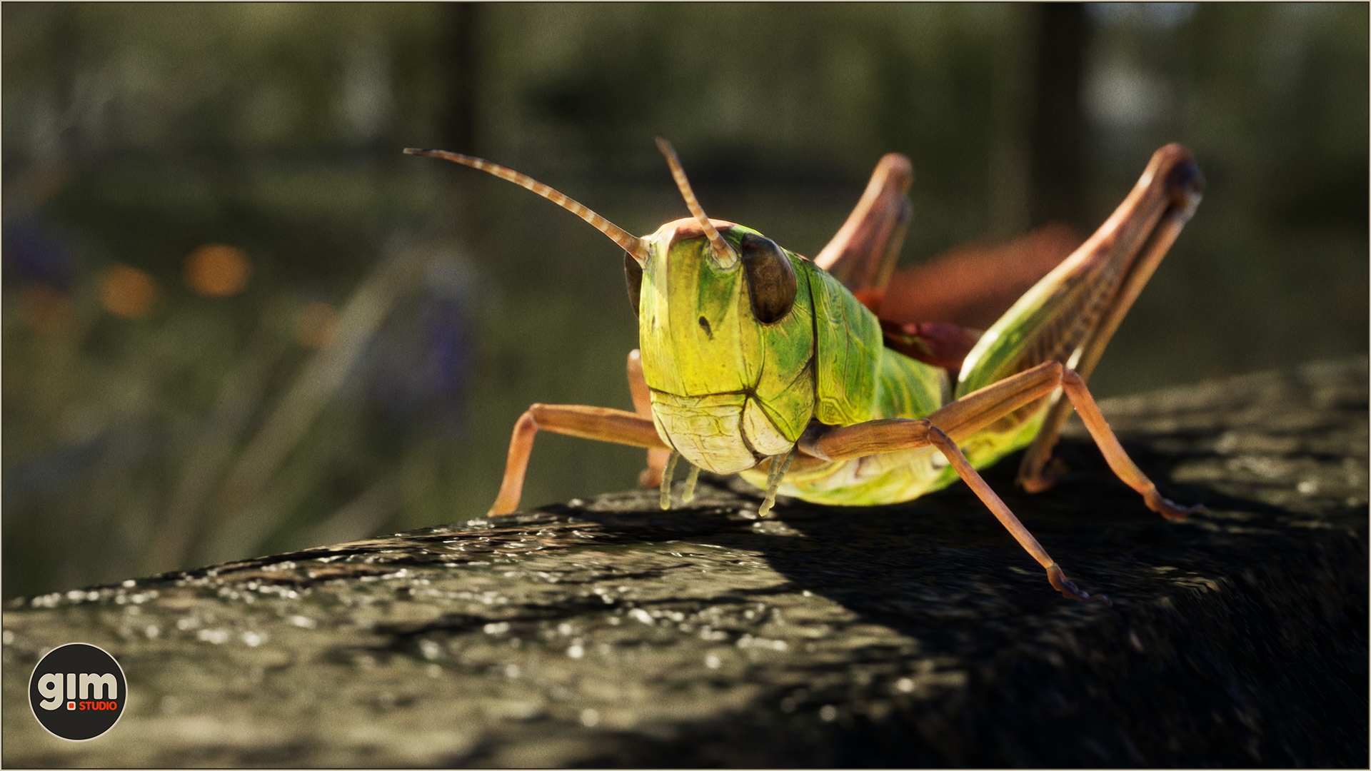 Grasshopper profile picture