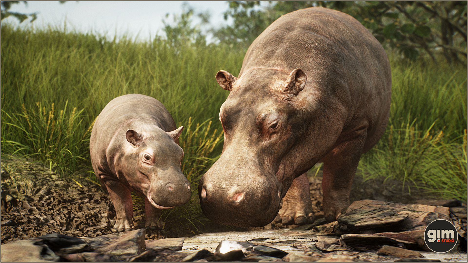 Like father like son, two hippos taking a photo.