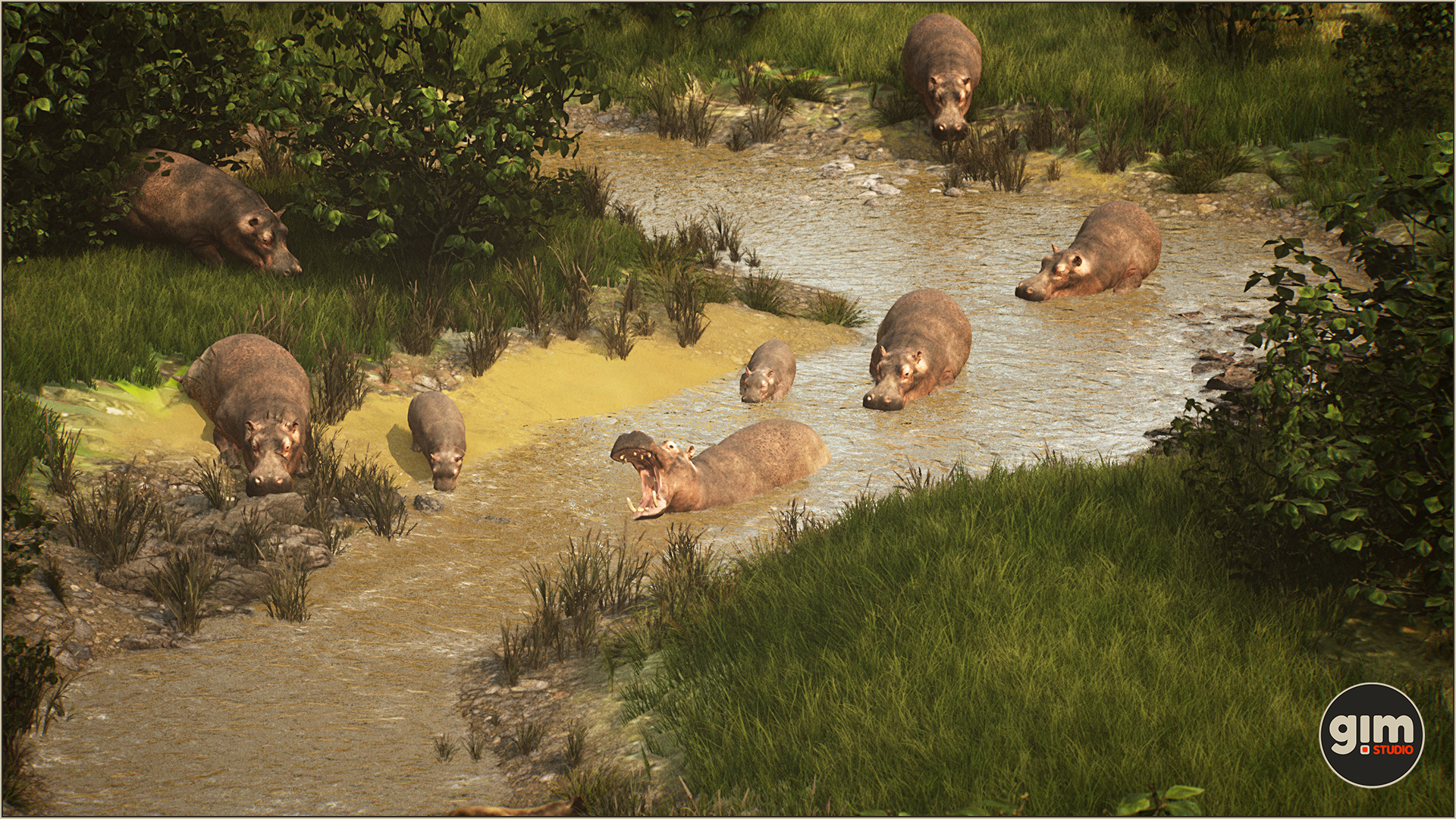 A bloat of Hippos enjoying the water.