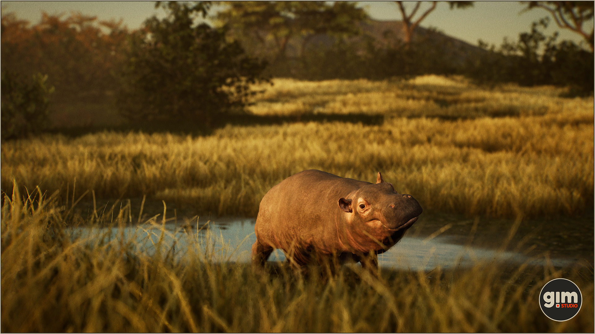Super cute Hippo after taking a bath