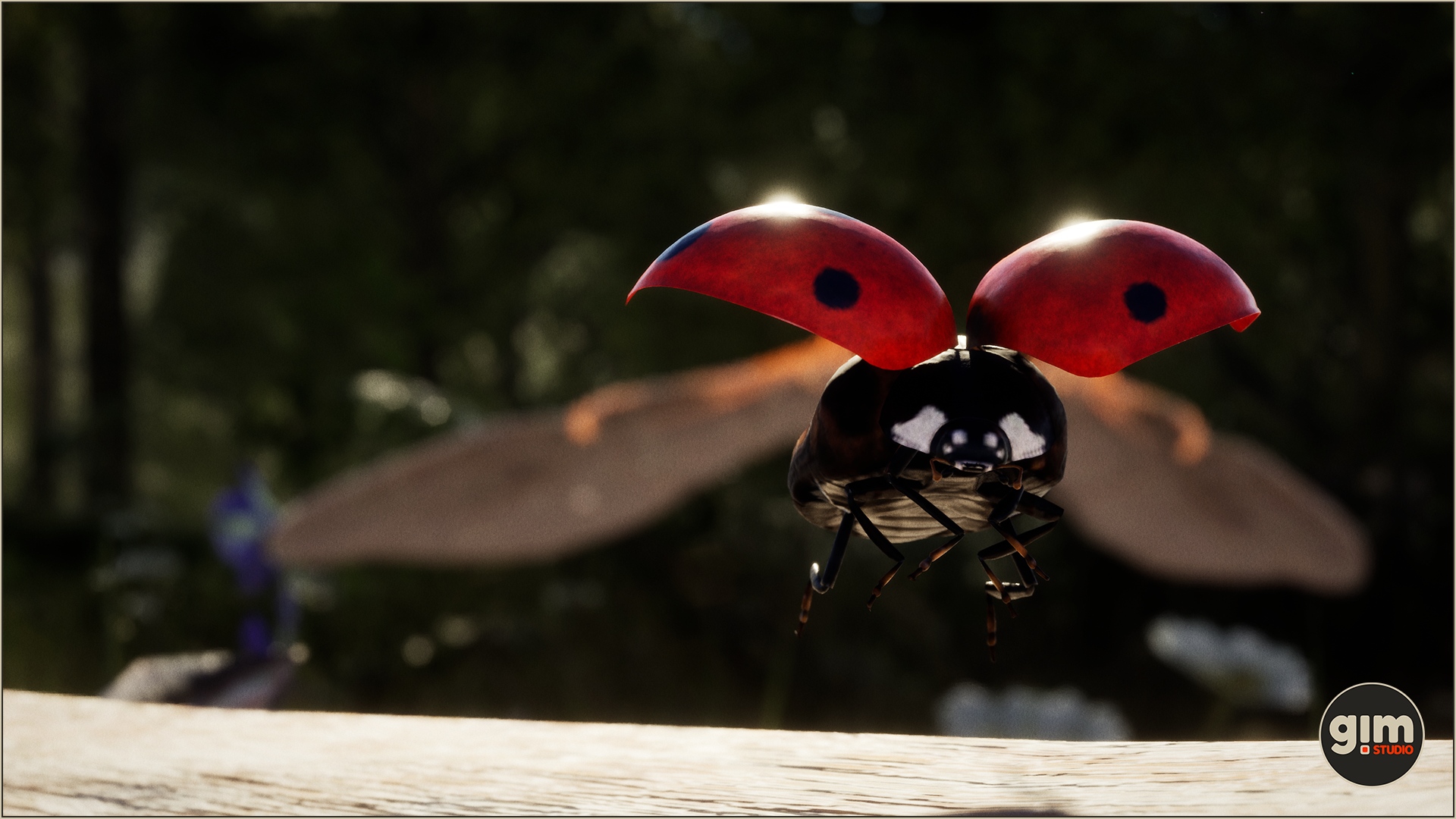 Ladybug landing on a piece of wood