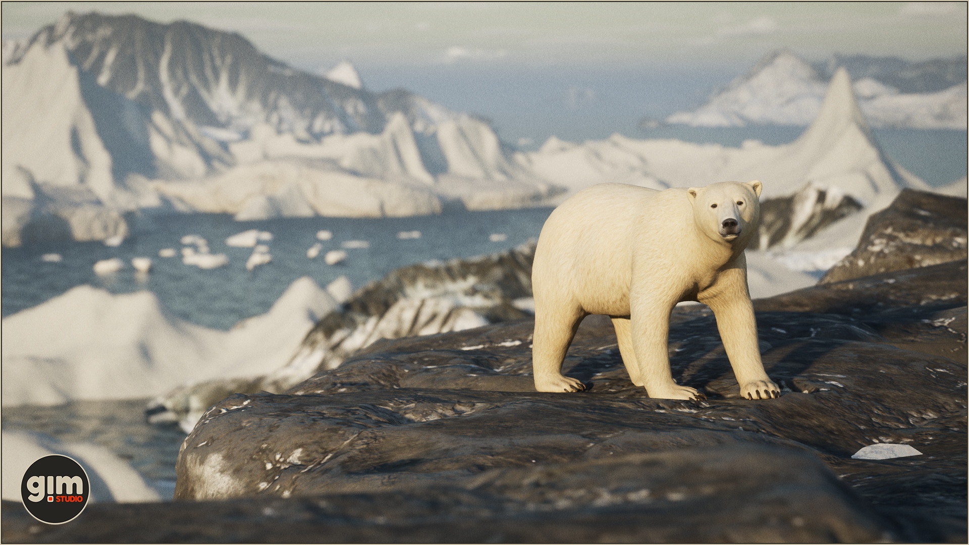Female Polar Bear looking at the photographer