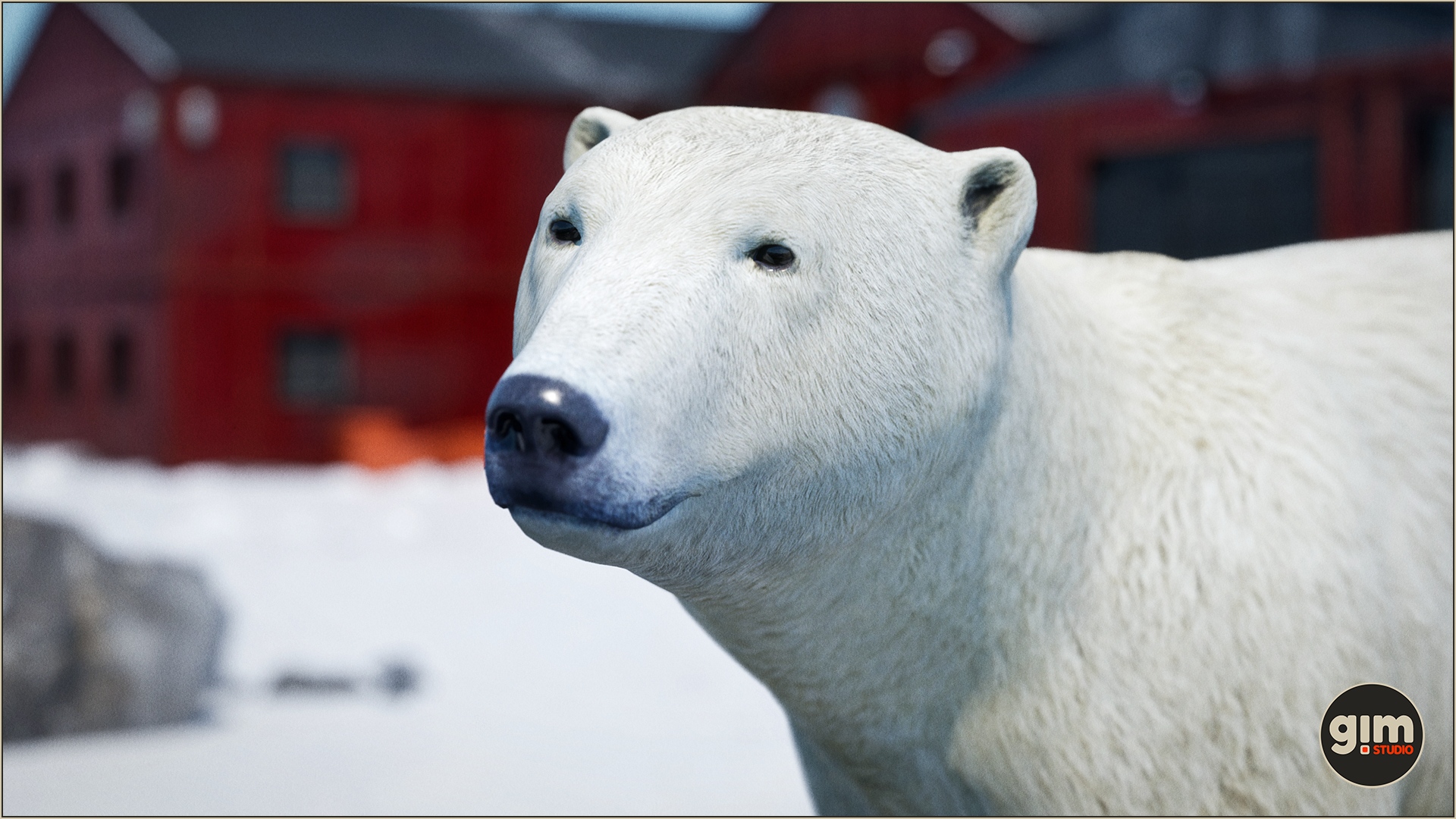 Profile picture of male Polar Bear