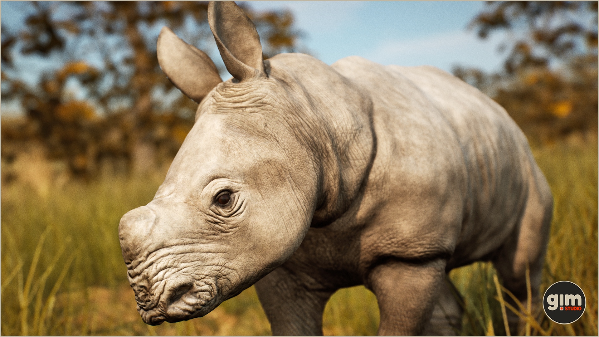 Photogenic young Rhino in close-up shot